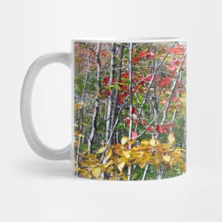 Fall Forests Mug
